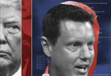 David Ellison Is Playing a Dangerous Game